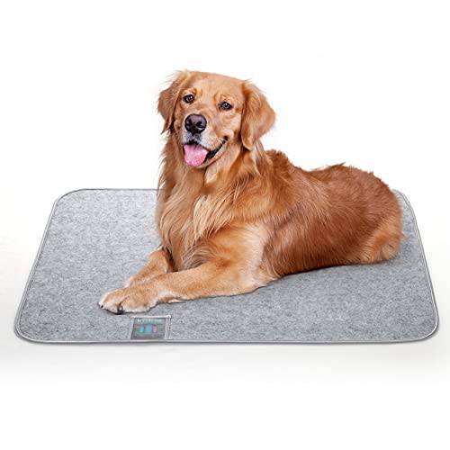 Super Moisture-Absorbent Washable Reusable Pet Mat